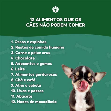 O Que Cachorro Não Pode Comer