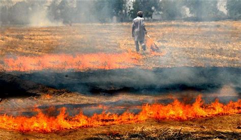 Stubble Burning Centre Refused To Contribute To Cash Incentive For