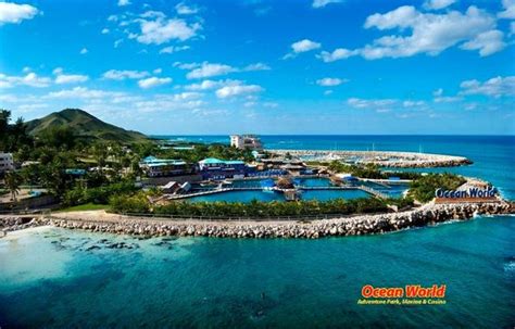 Ocean World Review Of Ocean World Adventure Park Puerto Plata