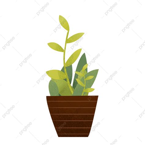 Plantas En Macetas Png Planta Plantas Verdes Planta Pelvis Png