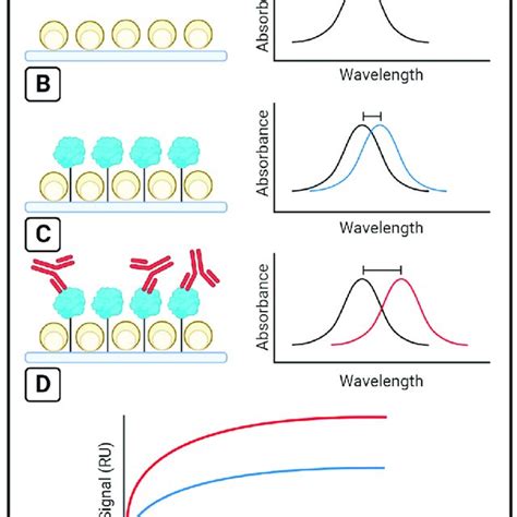 The Lspr Technique A Maximum Absorbance Occurs At A Given Resonance