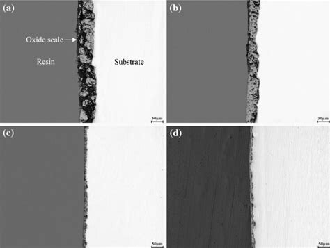 Optical Images Of The Cross Section Of Oxide Scales Formed At C