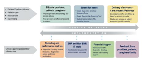 About Supportive Oncology Collaborative