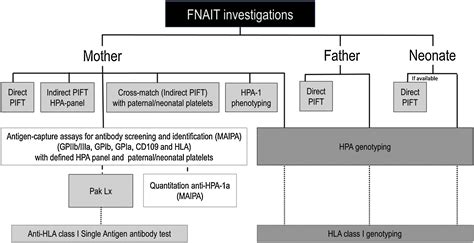 Fetal And Neonatal Alloimmune Thrombocytopenia The Norwegian