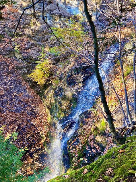 Eighteen Mile Creek Conservation Park Hamburg NY Adventures In New