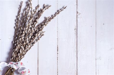 Premium Photo Branches Of The Pussy Willow On White Background