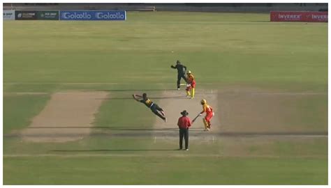 pakistan cup  yasir shah grabs  sensational flying catch