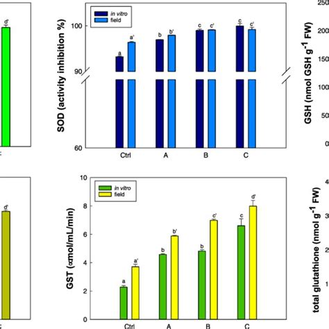 Ros Production Fluorescence Intensity Antioxidant Responses Sod