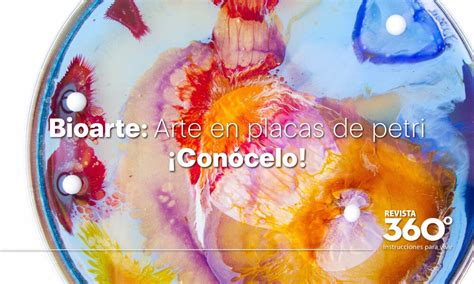 Arte en placas de Petri Así es el Bioarte Revista 360 grados