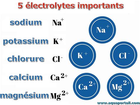 electrolyte definition  explications