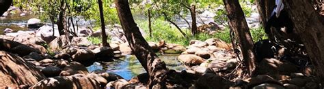 Boquete Hot Springs Express Tour Boquete Panama Tour Deals