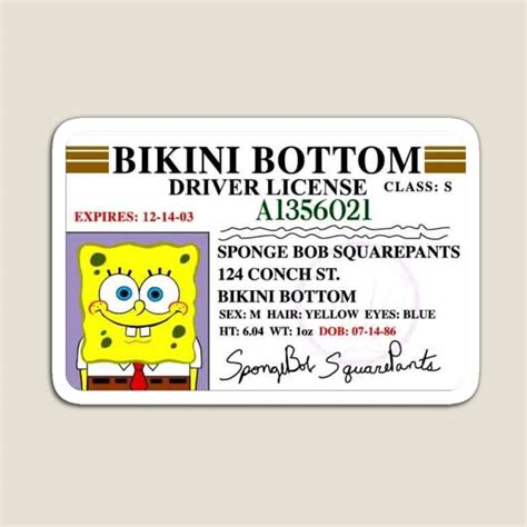 Spongebob Bikini Bottom Driver S License Magnet By Aaronvalentinus Spongebob Spongebob