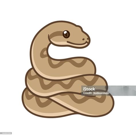 gambar ular kartun ilustrasi stok  gambar  sanca bodo