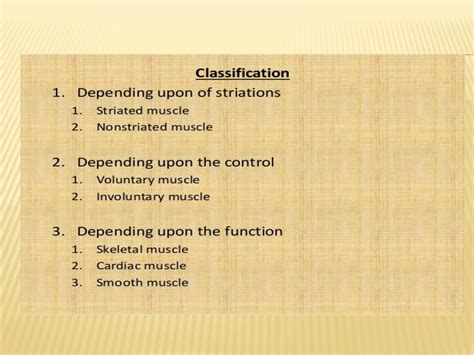 SOLUTION Physiology Of Muscle Studypool