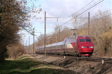 Du Rouge Pour L Or Blanc En Plein Week End De Chass Crois Flickr