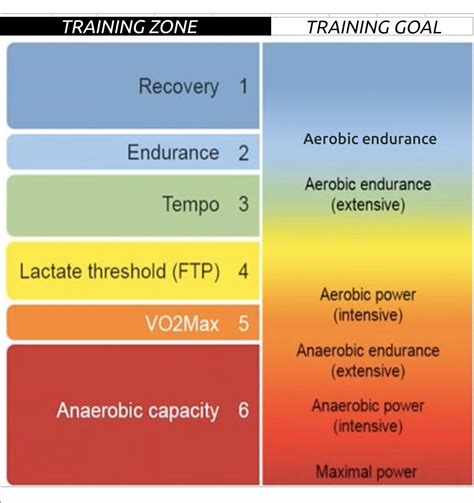 Aerobic Endurance Workout Plan | EOUA Blog