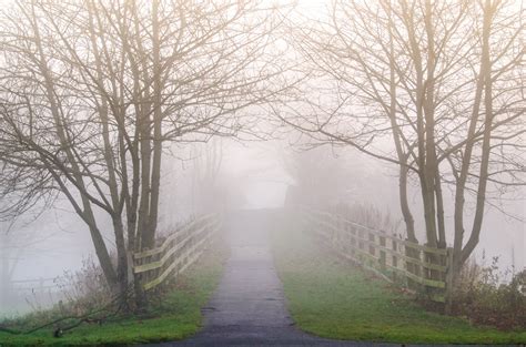 England Fog Free Stock Photo - Public Domain Pictures