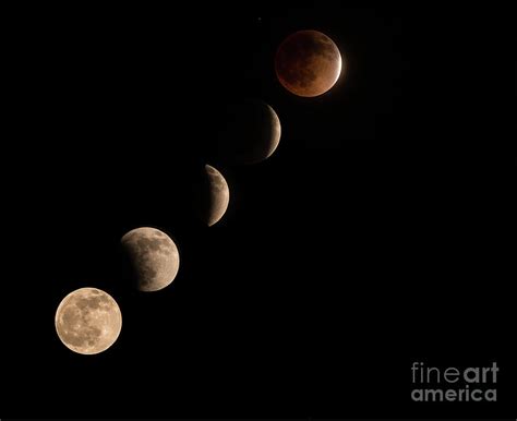 Blood Moon Phases Photograph by Dan Murray - Fine Art America