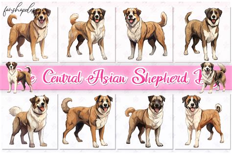 Cute Central Asian Shepherd Dog Graphic By Fonshopdesign · Creative Fabrica