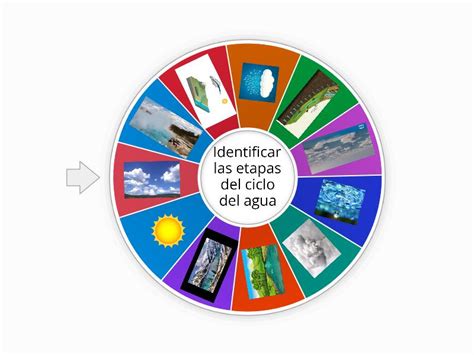 Etapas del ciclo del agua - Spin the wheel