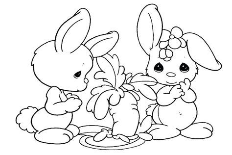 Rabbit Eating Carrot Drawing At Explore Collection