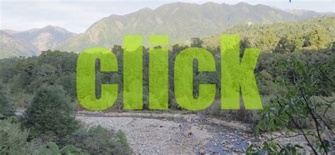 Leslie Karamea Track Kahurangi National Park Tramping New Zealand