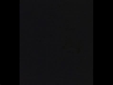 Chupando polla Recopilación de archivea XVIDEOS