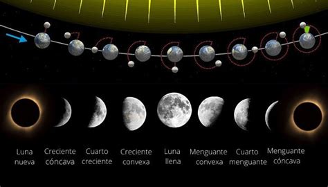 Fases De La Luna Cuáles Son Y Cuándo Ocurren