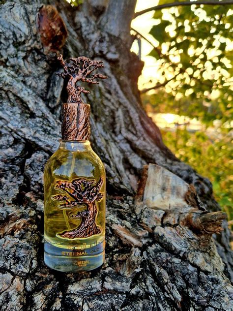 Eternal Oud Lattafa Perfumes Parfum - ein neues Parfum für Frauen und ...