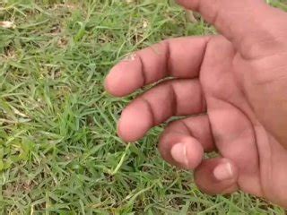 Outdoor Hard Fuck Pornhub Gay