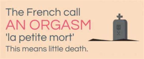 Interesting Facts About Sex Klyker