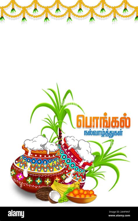 Happy Pongal religious festival of South India celebration background ...