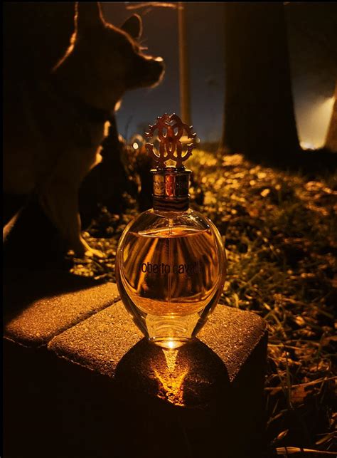 Roberto Cavalli Eau de Parfum Roberto Cavalli perfume - a fragrância ...