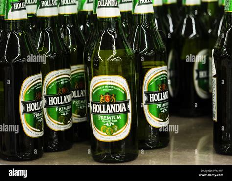 Hollandia Beer