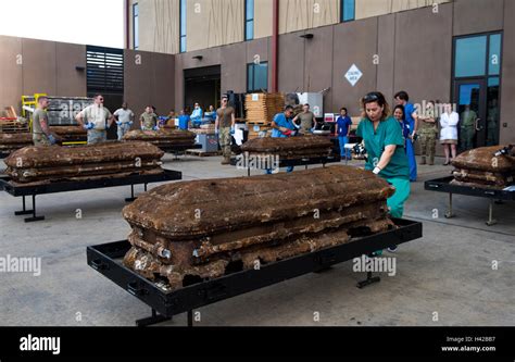 What Does A Dead Body Look Like After 100 Years At Theresa Sotelo Blog