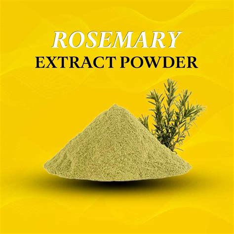 Rosemary Extract Powder - Wholesale Health Food Distributor