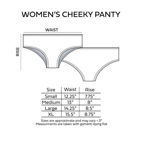 Fill My Ass With Cum Cheeky Panties Hipster Shorties Anal Ddlg Submissive Punishment Sir