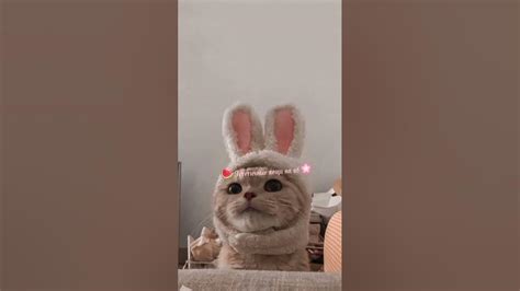 Эстетичные вещи с ВБ 💞 - YouTube