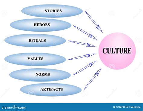What Are The Components Of Culture