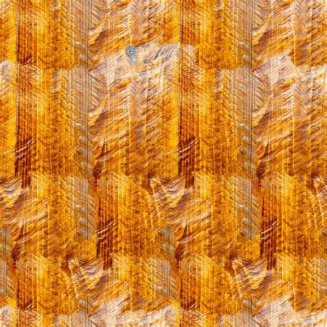 Fish Scales Texture Stock Photos Royalty Free Fish Scales Texture