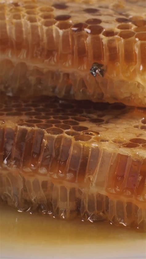 Healing Benefits Of Honey For Burns