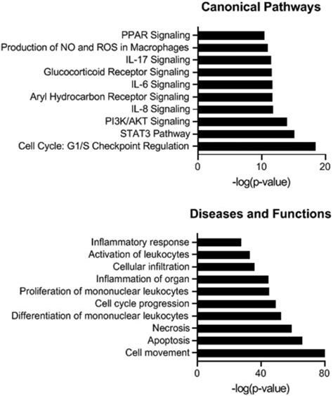 Ingenuity pathway analysis (IPA) of microRNAs (miRNAs). An IPA Core ...