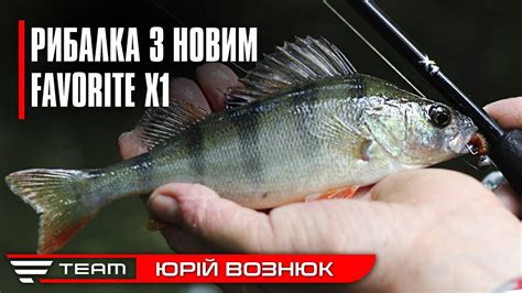 Новий Favorite X1. Спінінгова ловля окуня та щуки на малих річках літом ...