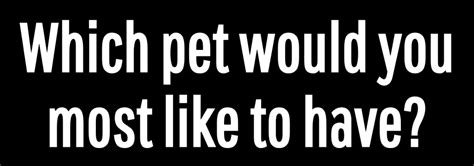 Answer These Random Questions And We Ll Tell You How Many Times You Ll Have Sex In