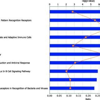 Top 10 enriched pathways via Ingenuity Pathway Analysis (IPA) for ...
