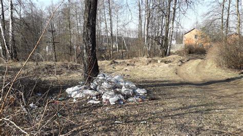 Субботник. | Пикабу