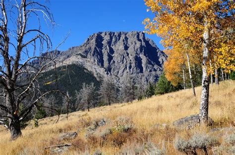 Flat top mountain wyoming photos