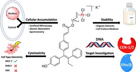 Development Of Cytotoxic Gw Zeises Salt Conjugates As Multitarget