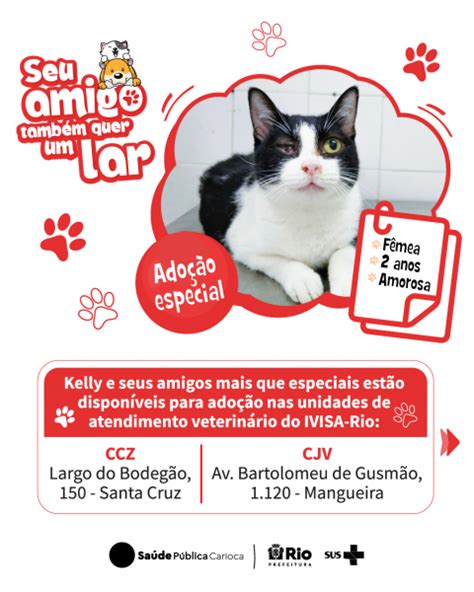 Ivisa Rio Faz Campanha Para Estimular Ado O De Animais Especiais