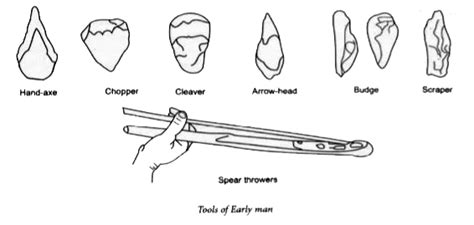 Who were the first to use tools? How these tools used by early man wer